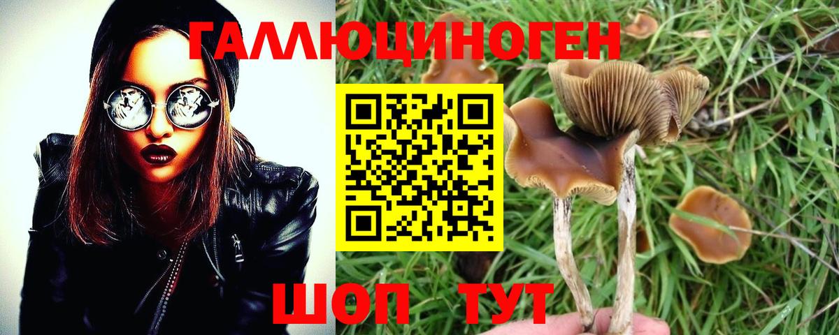 Галлюциногенные грибы Psilocybine cubensis  Вход с VPN  Лабытнанги 